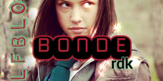 Imagem do grupo de WhatsApp 03 🐺 Wolfblood 🐺 |• ʀɗk