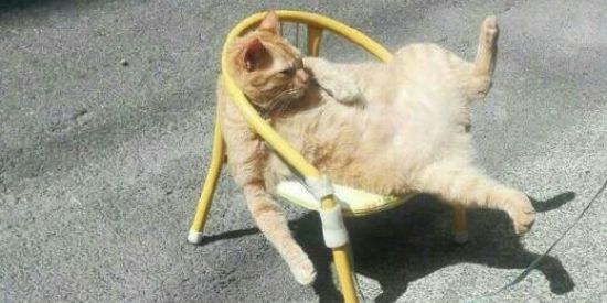 Imagem do grupo de WhatsApp Grupo 2021✊🏻🏳️‍🌈🖤