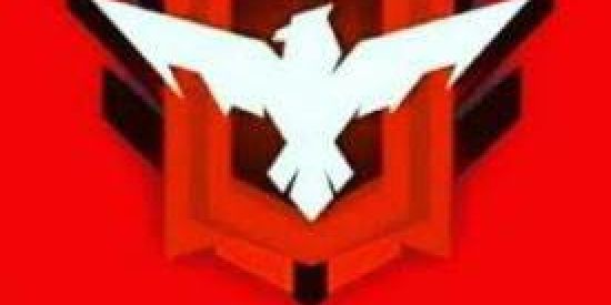 Imagem do grupo de WhatsApp Free fire