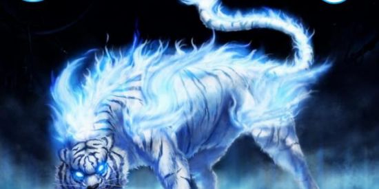 Imagem do grupo de WhatsApp ᴏɴᴇ ʜʏᴢᴇʀs ×͜×