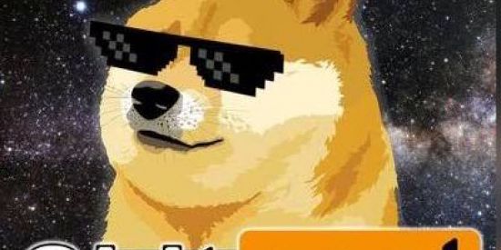 Imagem do grupo de WhatsApp Gang dos shit