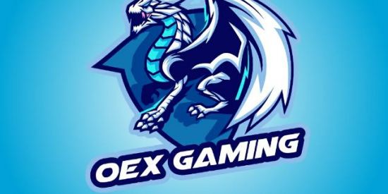 Imagem do grupo de WhatsApp OEX GAMING Bate Papo