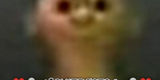 Imagem do grupo de WhatsApp ❤️👻꧁ŞĦƗŦƤØŞŦŞ꧂👻❤️