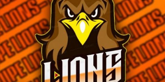 Imagem do grupo de WhatsApp 🦁|TRIAGEM LIONS 10•WĐ’ร•🦁