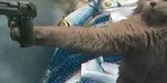 Imagem do grupo de WhatsApp NAMORO OU AMIZADE