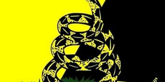 Imagem do grupo de WhatsApp Anarchy is the future