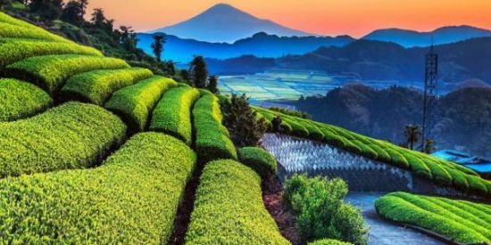 Imagem do grupo de WhatsApp #16 PRINCÍPIOS FINANÇAS 📈