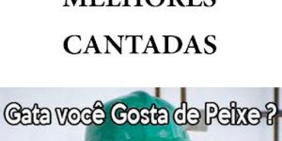 Imagem do grupo de WhatsApp As cantadas mais ridícula