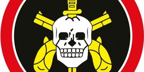 Imagem do grupo de WhatsApp 🔰Futuros militares🔰