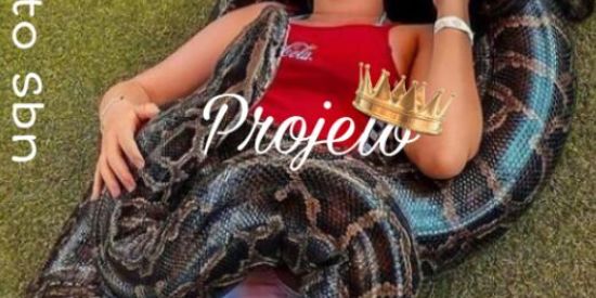 Imagem do grupo de WhatsApp 🐯⃤Projeto Sbn