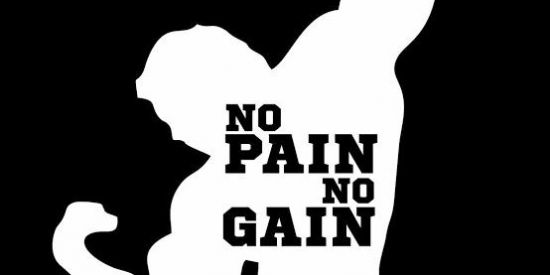 Imagem do grupo de WhatsApp No Pain No Gain