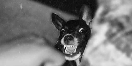 Imagem do grupo de WhatsApp squad dos webcorno😏🤟🏻