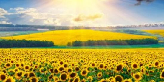 Imagem do grupo de WhatsApp Estamos aqui para ajudar você❤️🙌🏼