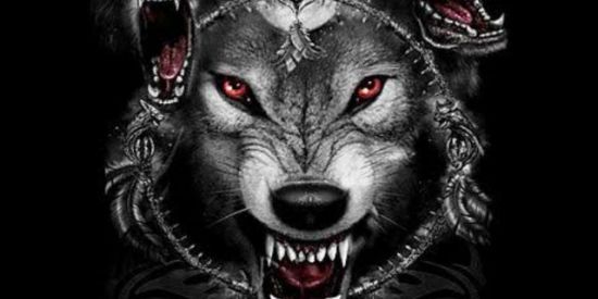 Imagem do grupo de WhatsApp 🐺LOBÃO TRADER🐺 FRRE