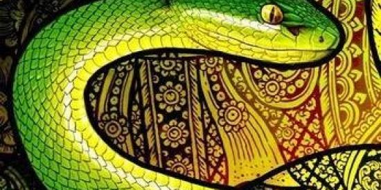 Imagem do grupo de WhatsApp €¢£π×