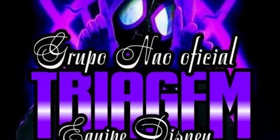 Imagem do grupo de WhatsApp 🔱TRIAGEM EQUIPE GOLD🔱