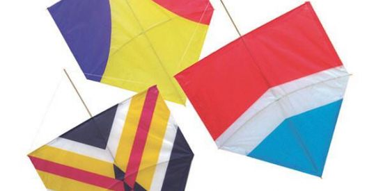 Imagem do grupo de WhatsApp Pipas e tal🪁🪁