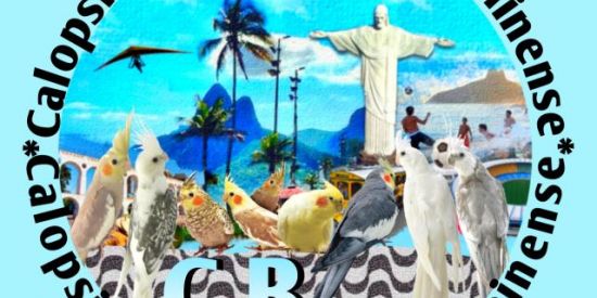 Imagem do grupo de WhatsApp Calopsitas da Baixada🐦