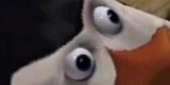 Imagem do grupo de WhatsApp SHITPOST BR 🇧🇷