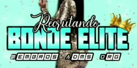 Imagem do grupo de WhatsApp ⚜️ • Triagem Elite