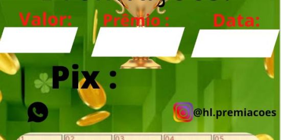 Imagem do grupo de WhatsApp HL PREMIAÇÕES