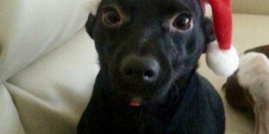 Imagem do grupo de WhatsApp Web namoro ❤️