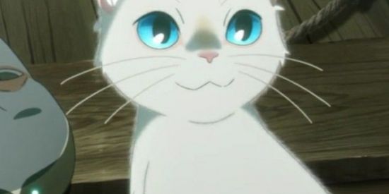 Imagem do grupo de WhatsApp LGBTQIA+ Novo Hamburgo