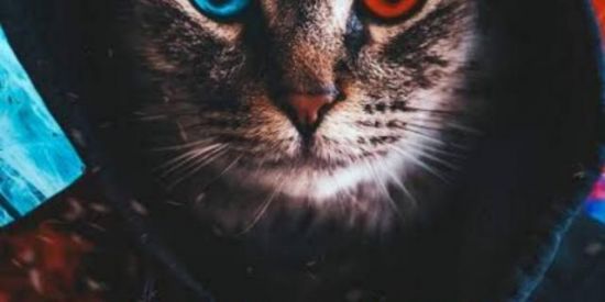 Imagem do grupo de WhatsApp 😂 Marcos memes 😂