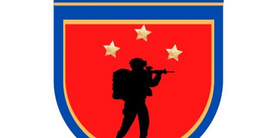 Imagem do grupo de WhatsApp Simulação Vida Militar