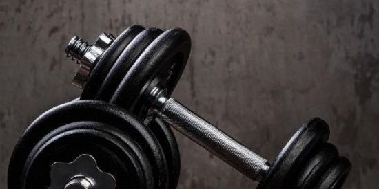 Imagem do grupo de WhatsApp TREINO E DIETA