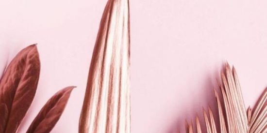 Imagem do grupo de WhatsApp †Engajamos Você /Ganhe seguidores🧞‍♂️