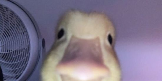 Imagem do grupo de WhatsApp Marvel market🍀🚀