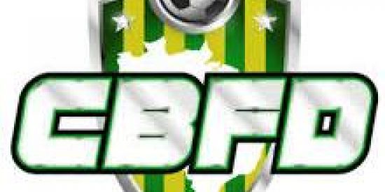 Imagem do grupo de WhatsApp 🏆🇧🇷Brasileirão & Europeu🎮⚽