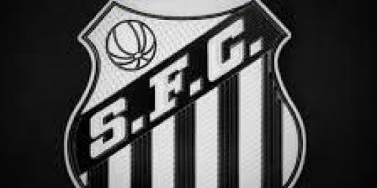 Imagem do grupo de WhatsApp Sfc_santos1912