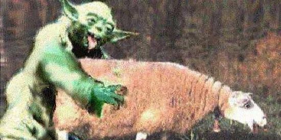 Imagem do grupo de WhatsApp Esquizofrenicos