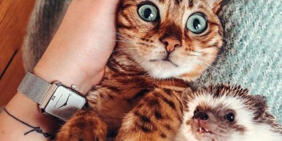 Imagem do grupo de WhatsApp Grandes amigos reais