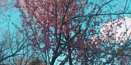 Imagem do grupo de WhatsApp RECRUTAMENTO BONDDE TIS