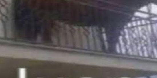 Imagem do grupo de WhatsApp Bar dos Amigos