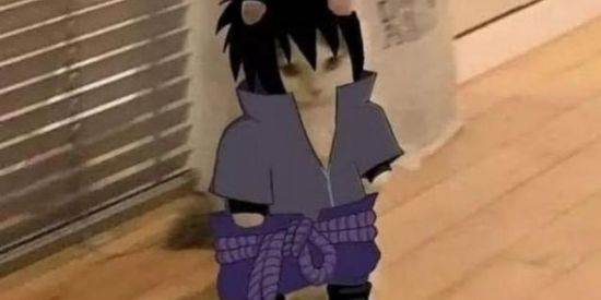 Imagem do grupo de WhatsApp Grupo de zueira👌🐦