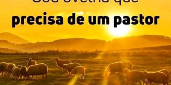 Imagem do grupo de WhatsApp Minutos de Esperança
