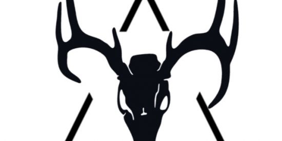 Imagem do grupo de WhatsApp LIBERDADE FINANCEIRA D 0%