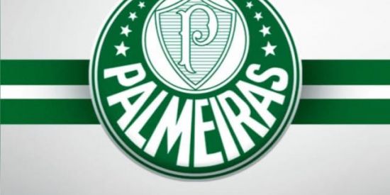 Imagem do grupo de WhatsApp Palestra Itália 🇮🇹