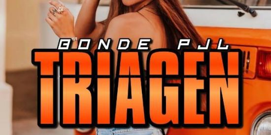 Imagem do grupo de WhatsApp 🤴🏻TRIAGEM🤴🏻