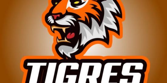 Imagem do grupo de WhatsApp TIGRES ESPORTES🐯🐯📱🎮🎧