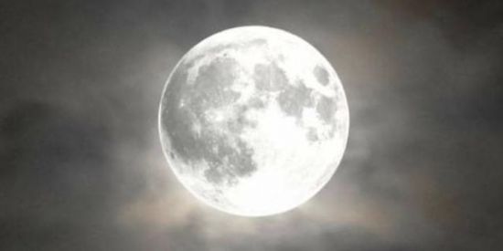 Imagem do grupo de WhatsApp Bruxas naturais🧙‍♀️🧙‍♂️