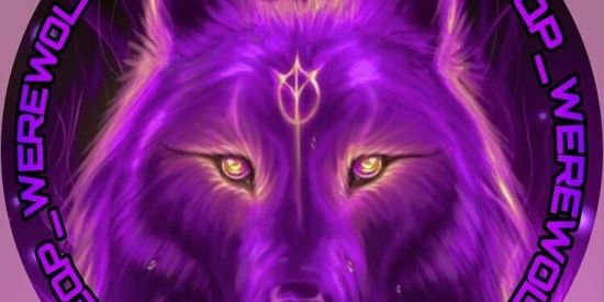 Imagem do grupo de WhatsApp Ganhar seguidores no Instagram