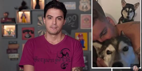 Imagem do grupo de WhatsApp Corujinhas do Felipe Neto