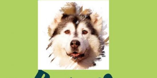 Imagem do grupo de WhatsApp Siberiano Belém-PA