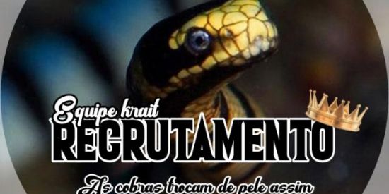 Imagem do grupo de WhatsApp RECRUTAMENTO ||•♔Sя'թ♔