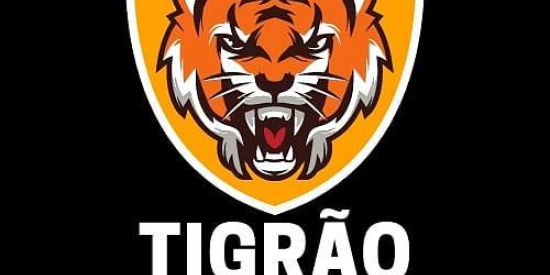 Imagem do grupo de WhatsApp TIGRÃO ATACADO 1